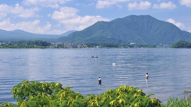 夏のバス釣り