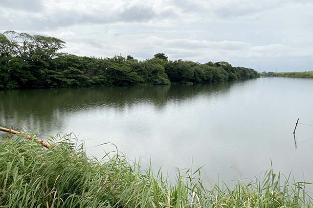 大江川 万寿橋